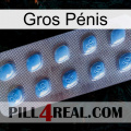 Gros Pénis viagra3